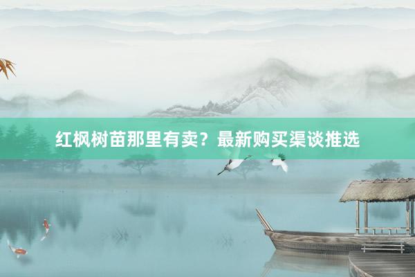 红枫树苗那里有卖？最新购买渠谈推选