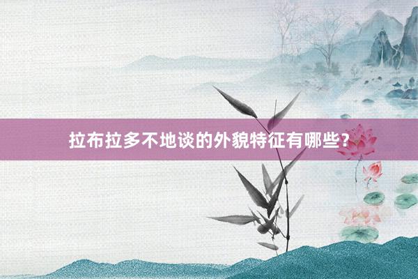 拉布拉多不地谈的外貌特征有哪些？