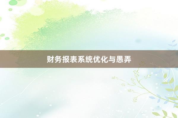 财务报表系统优化与愚弄