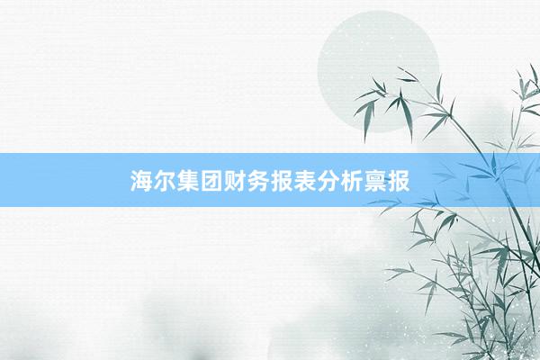 海尔集团财务报表分析禀报